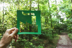 nature-restoration-law