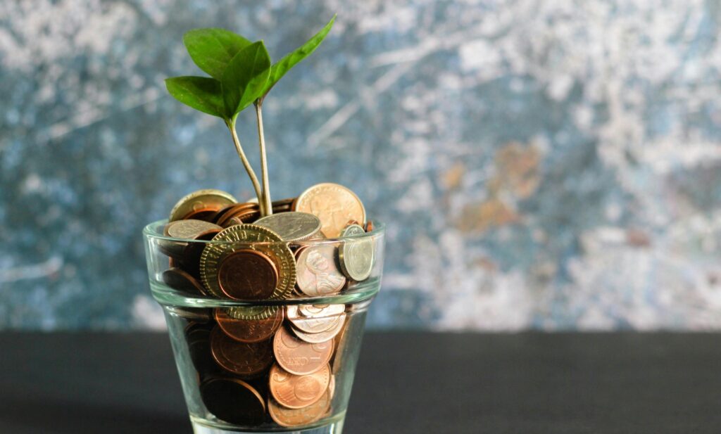 image-of-money-plant