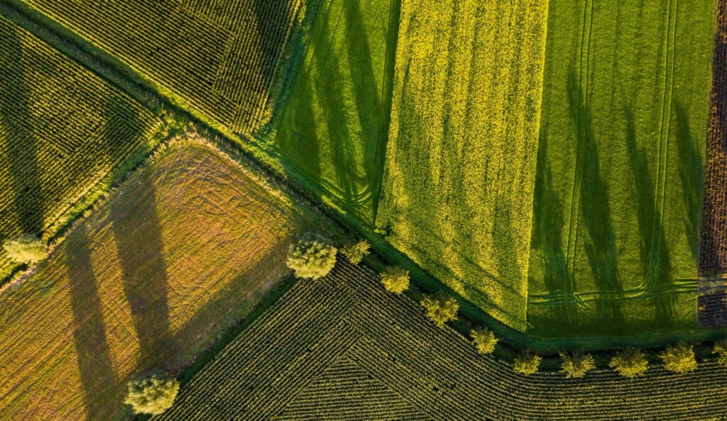 agriculture-aerial-image